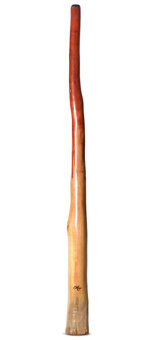 Tristan O'Meara Didgeridoo (TM347)
